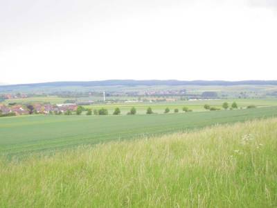 Hier gibt es Streicheleinheiten
